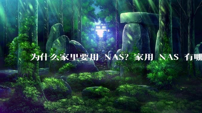 为什么家里要用 NAS？家用 NAS 有哪些实际的、接地气的用途？