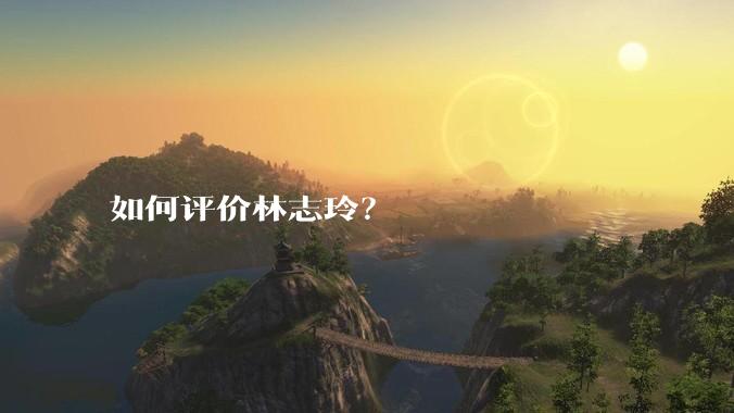 如何评价林志玲？