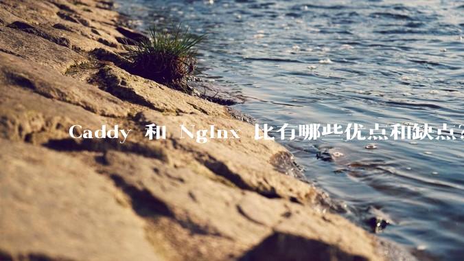 Caddy 和 Nginx 比有哪些优点和缺点？
