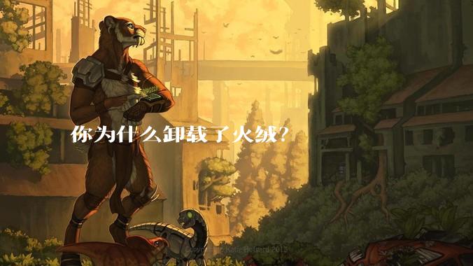 你为什么卸载了火绒？